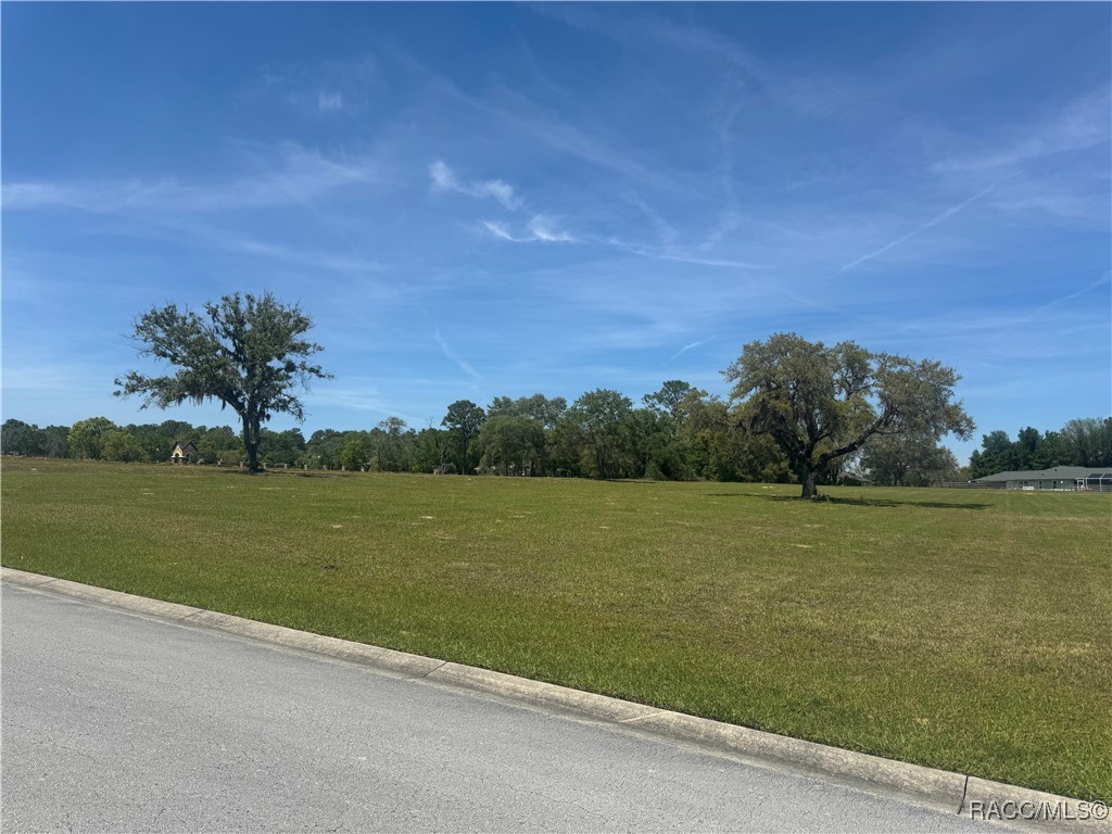 244 N Lake Shenandoah Loop
