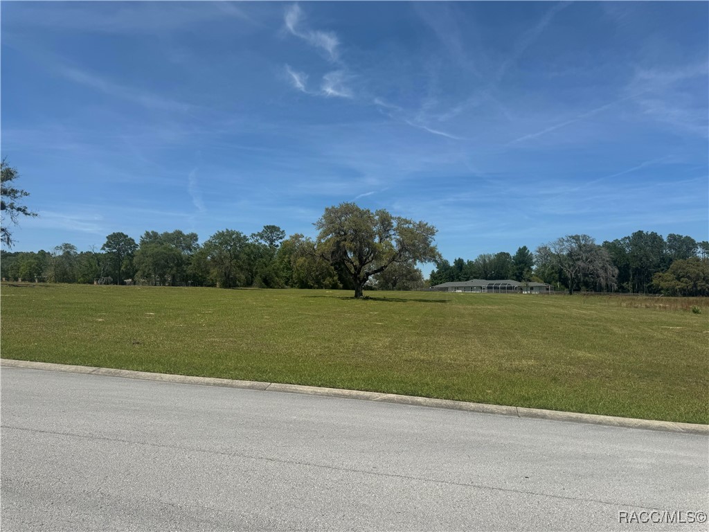 244 N Lake Shenandoah Loop