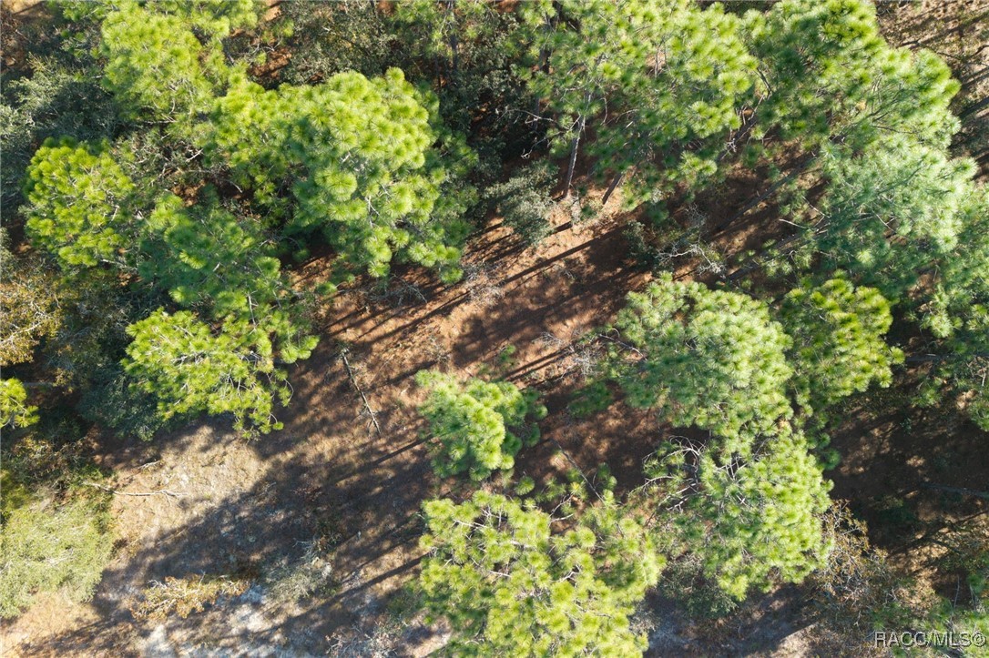 lot 16 SE 136th Terrace
