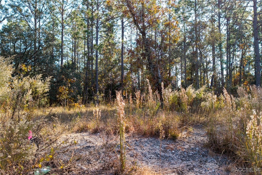 lot 16 SE 136th Terrace