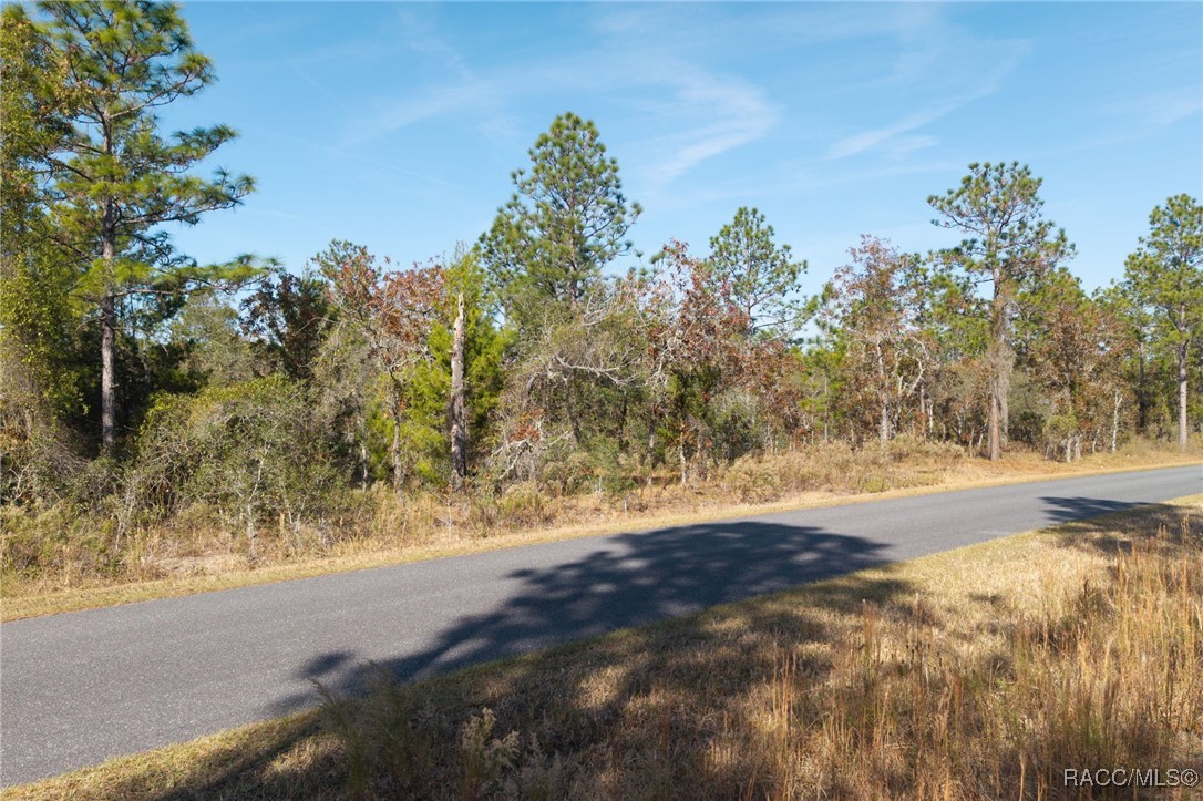 lot 16 SE 136th Terrace