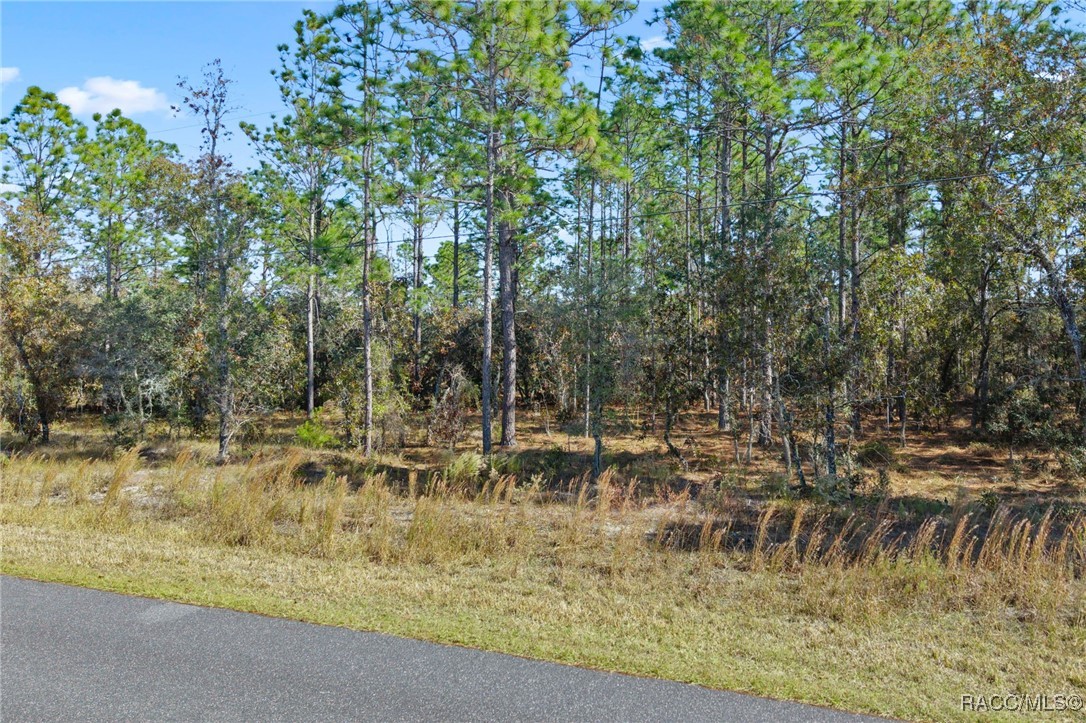 lot 16 SE 136th Terrace