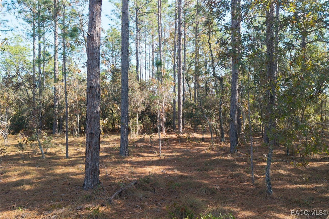lot 16 SE 136th Terrace