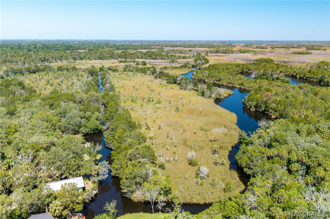 10709 W Halls River Road