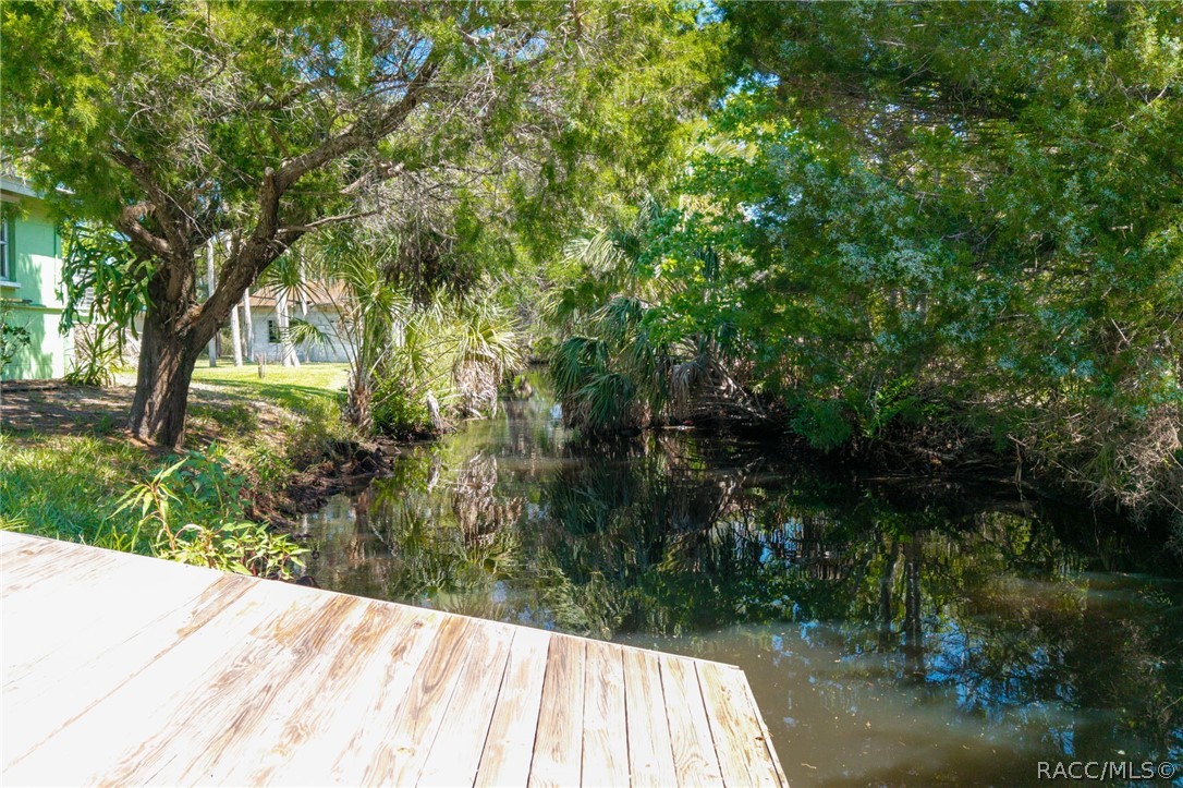 10709 W Halls River Road