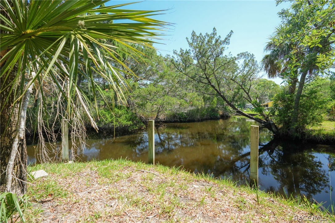 10709 W Halls River Road
