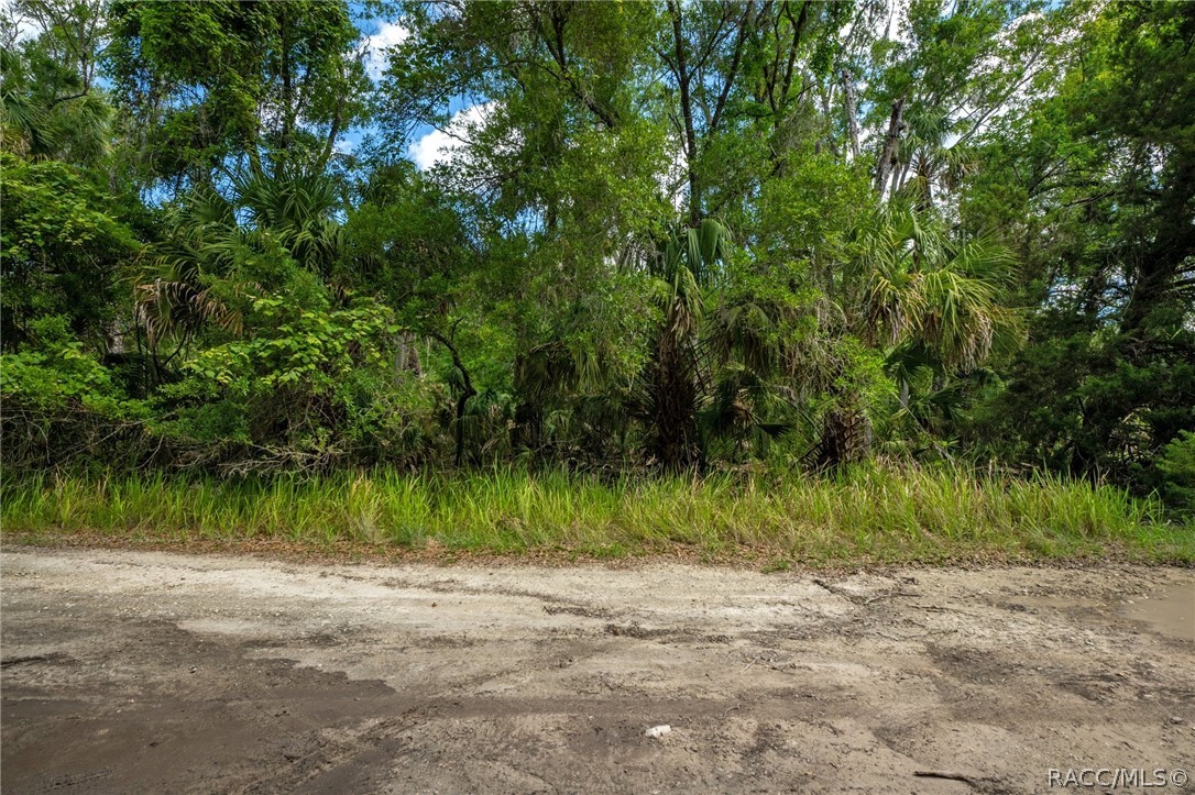 15085 W Roosters Crow Road