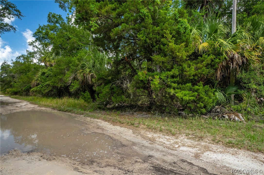 15085 W Roosters Crow Road