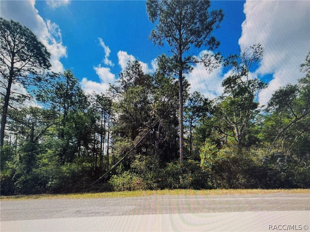 9402 N Boxthorn Terrace