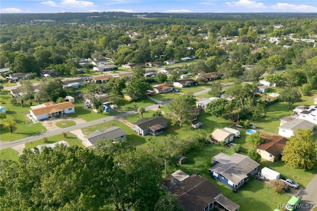 Aerial view of a tree-lined neighborhood with detached homes and spacious green yards.