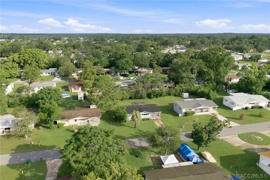 Aerial view of a leafy neighborhood with detached homes, green lawns, and quiet streets.
