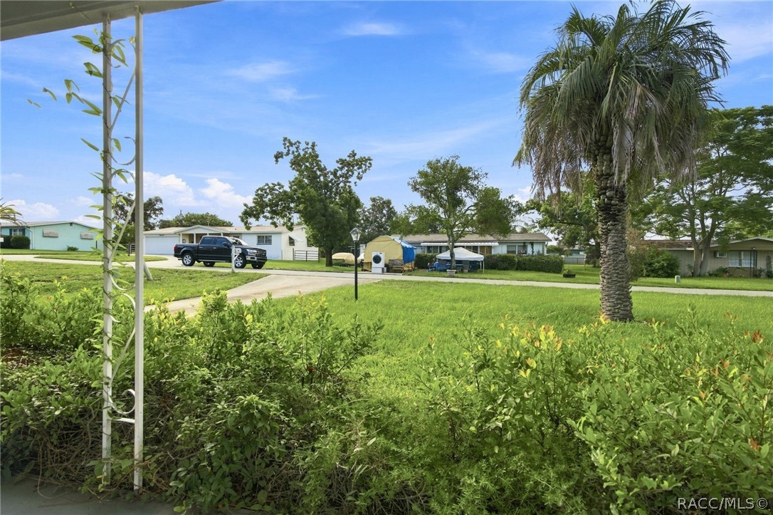 Front lawn and driveway with a tall palm tree beside a residential street.