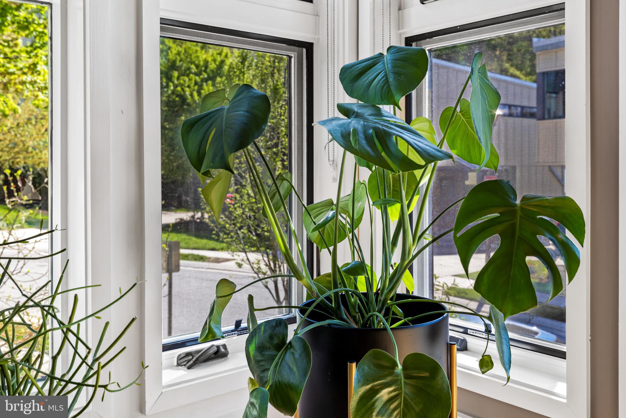 3429 WOODBERRY AVENUE