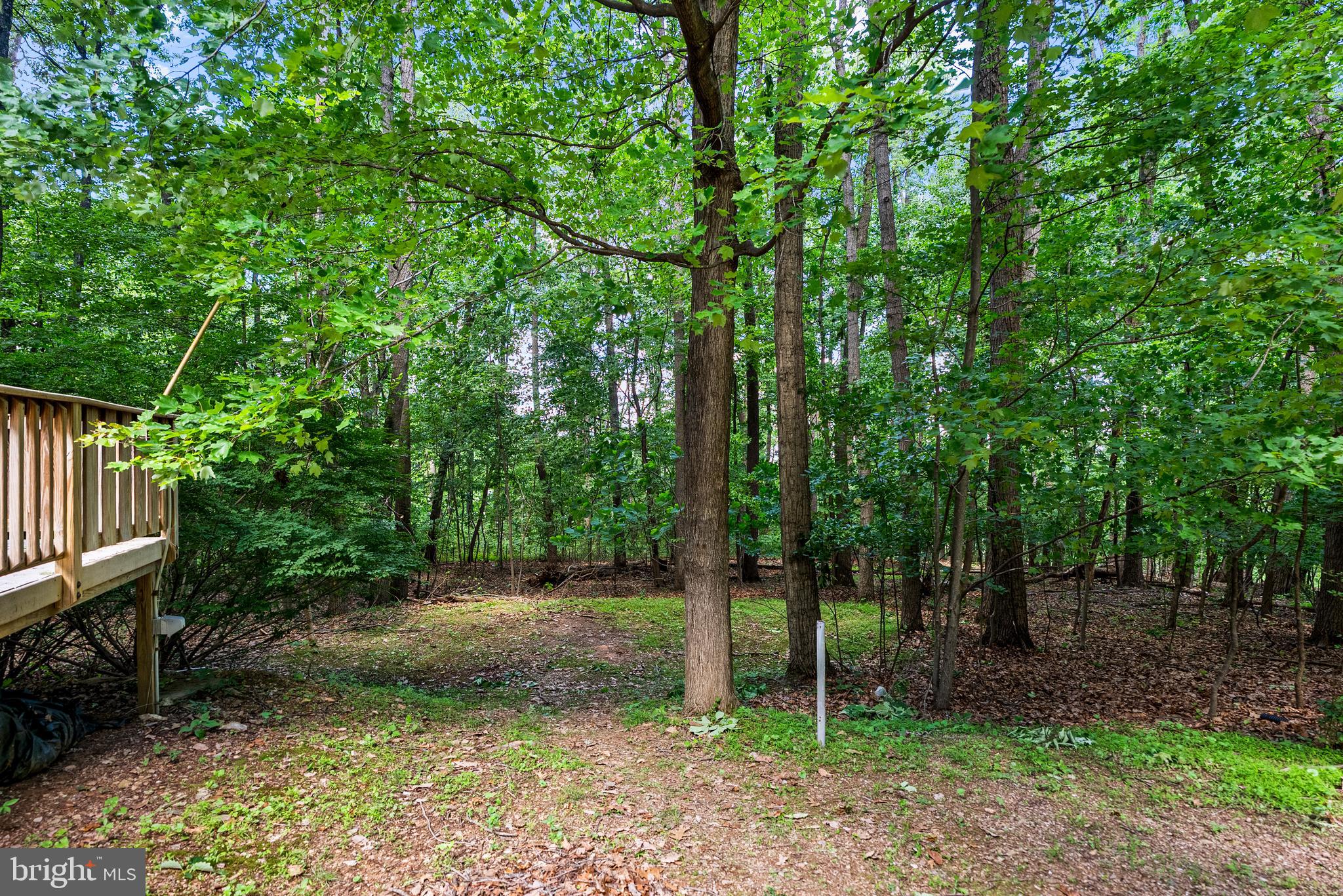 3330 OAKWOOD DRIVE
