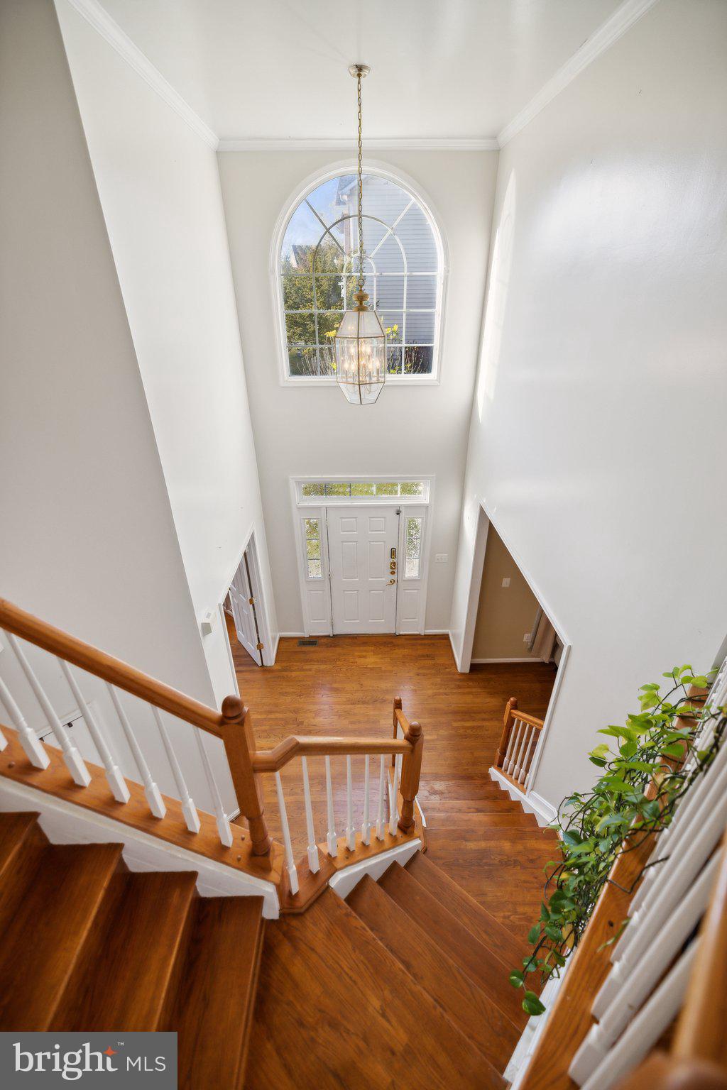 13129 Venetian Rd