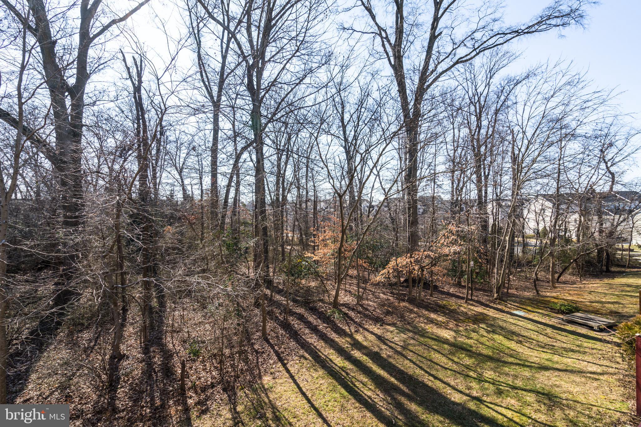 3807 Shannons Green Way