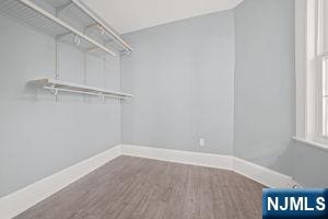 29 Pitt Street 2