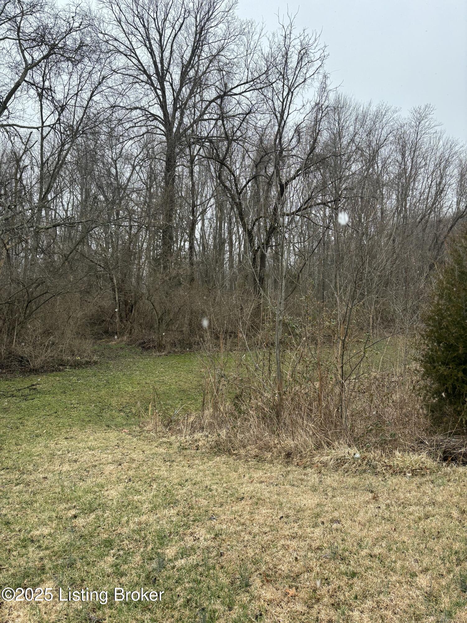 9600 W Manslick Rd