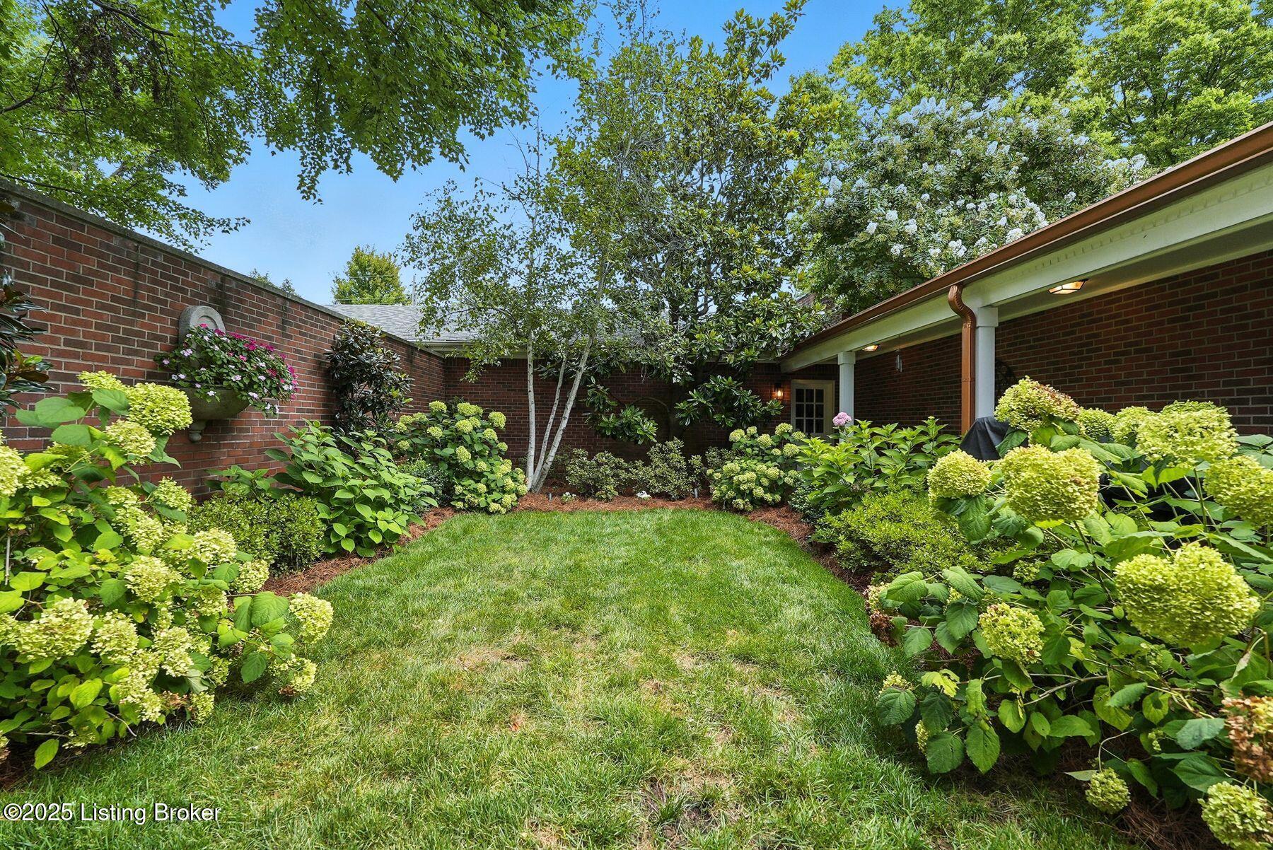 229 Saint Matthews Ave