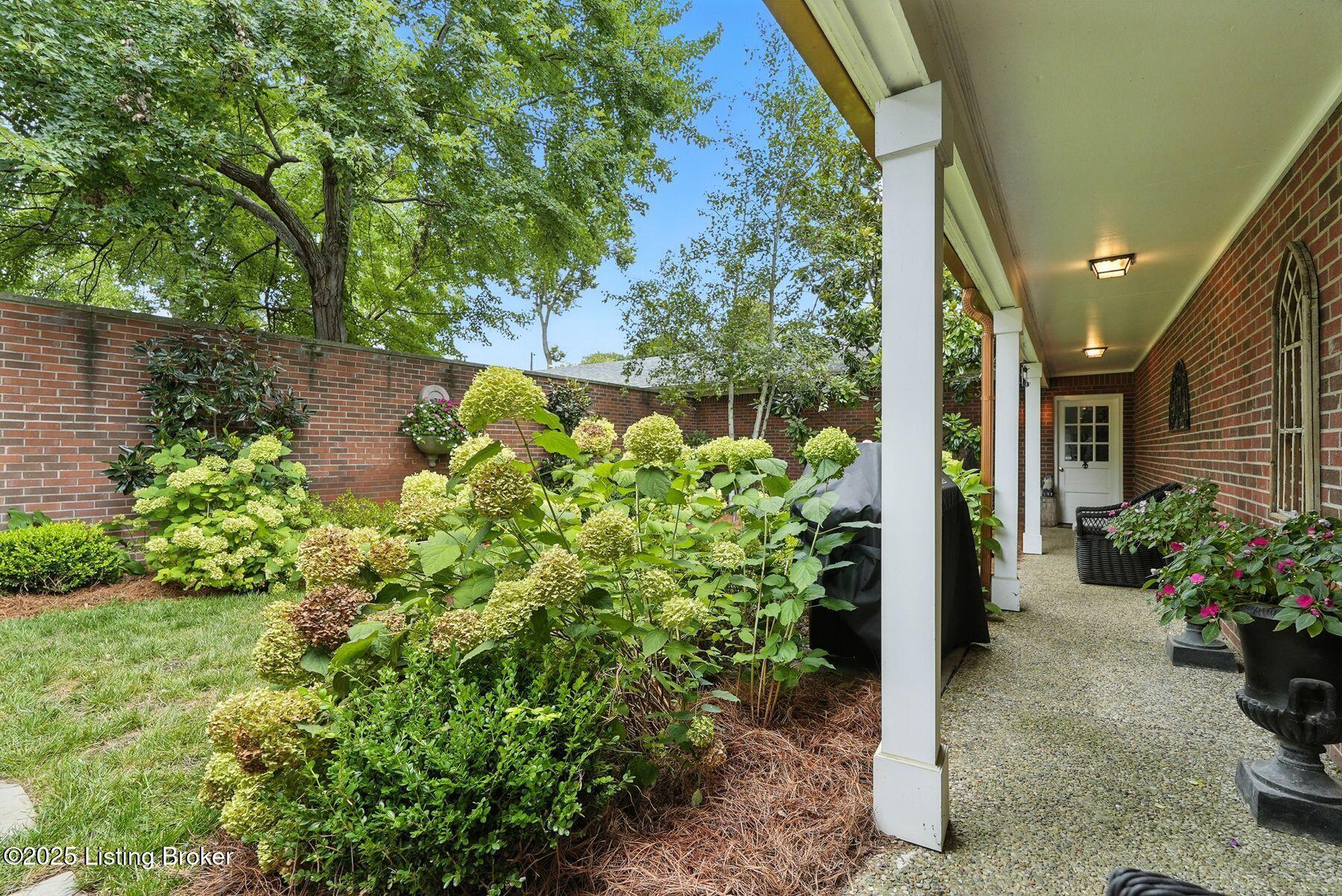 229 Saint Matthews Ave