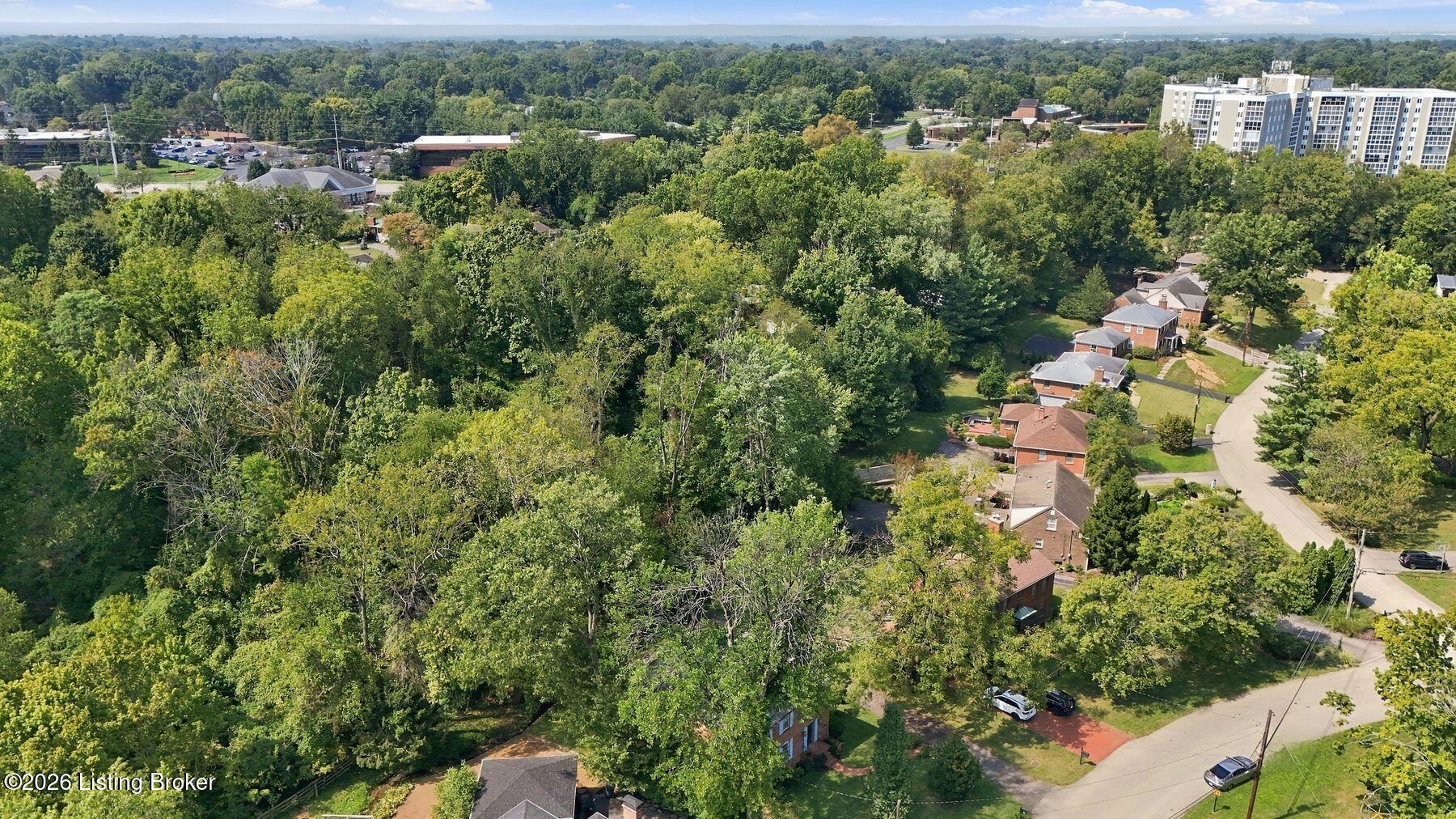 Aerial view of tree-filled neighborhood homes and winding roads.