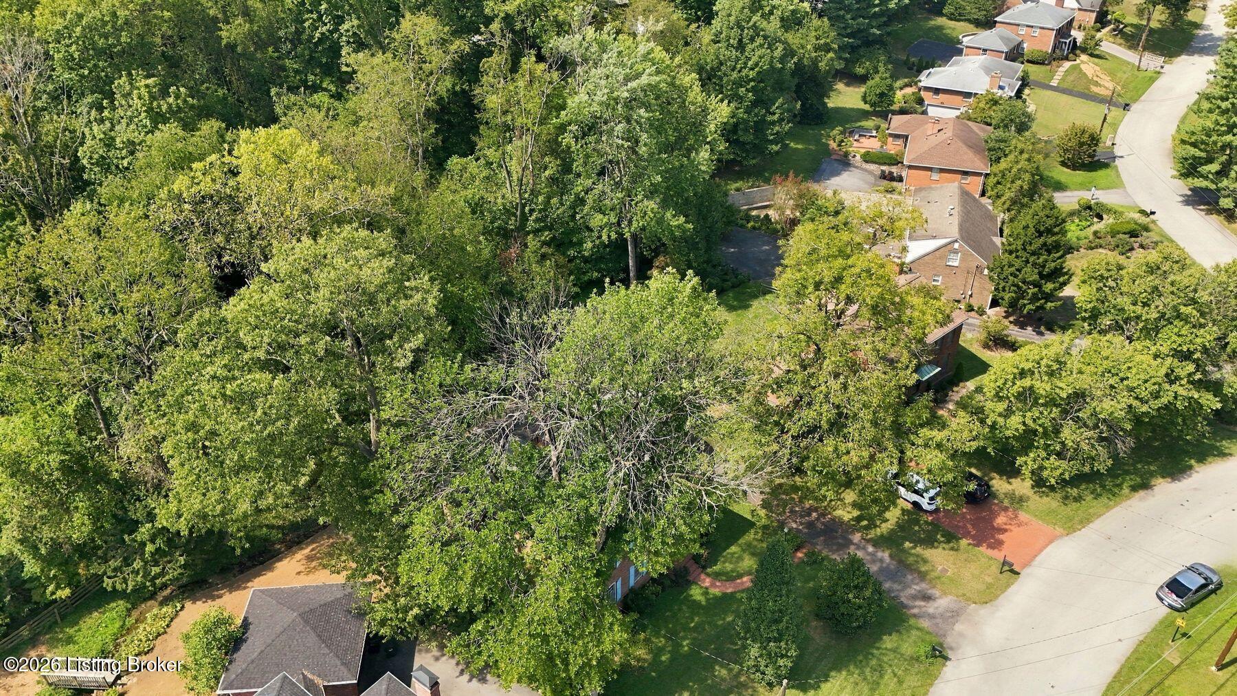 Aerial view of a wooded residential property beside a quiet road, with neighboring homes.