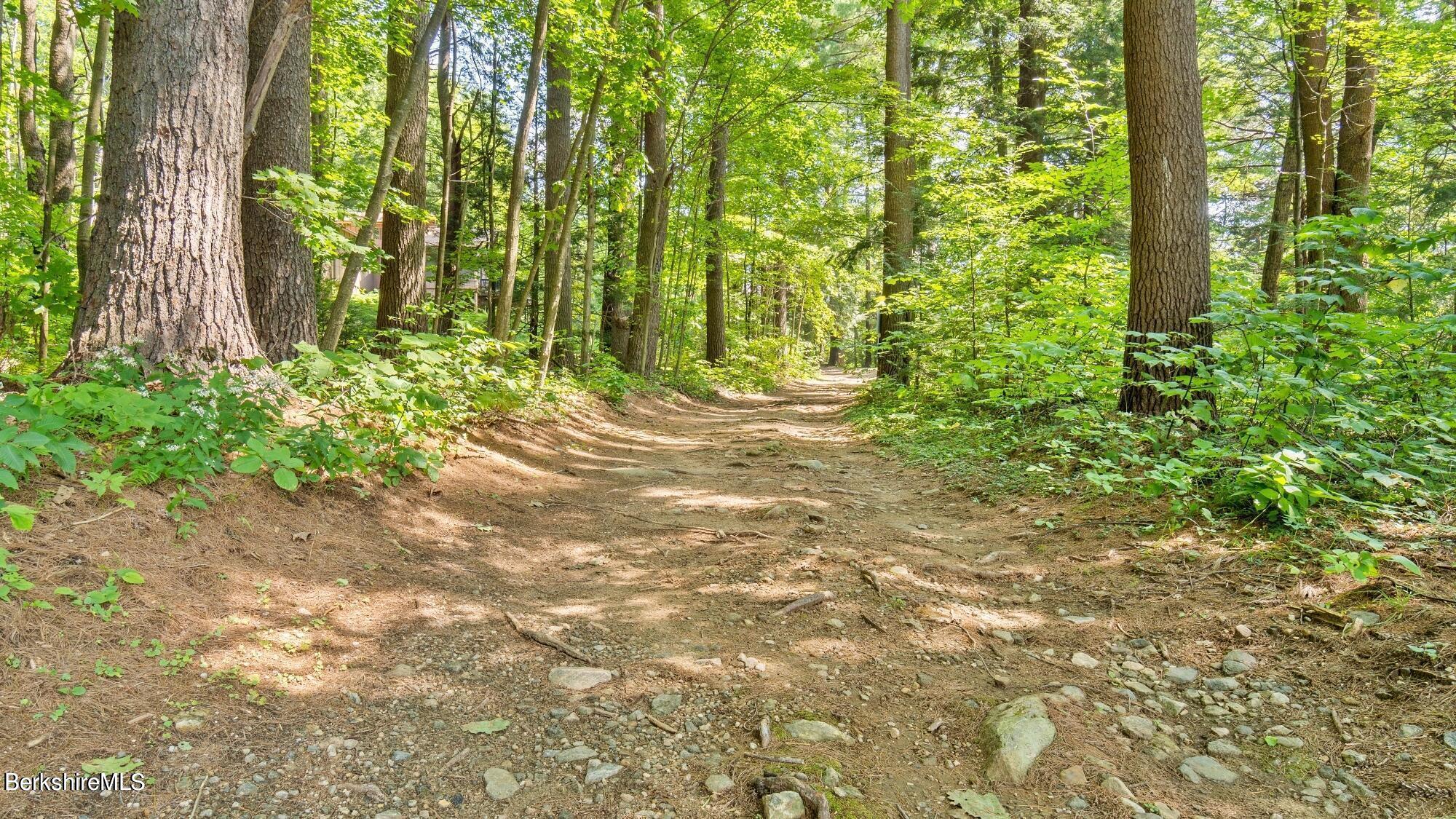 311 Tamarack Trail
