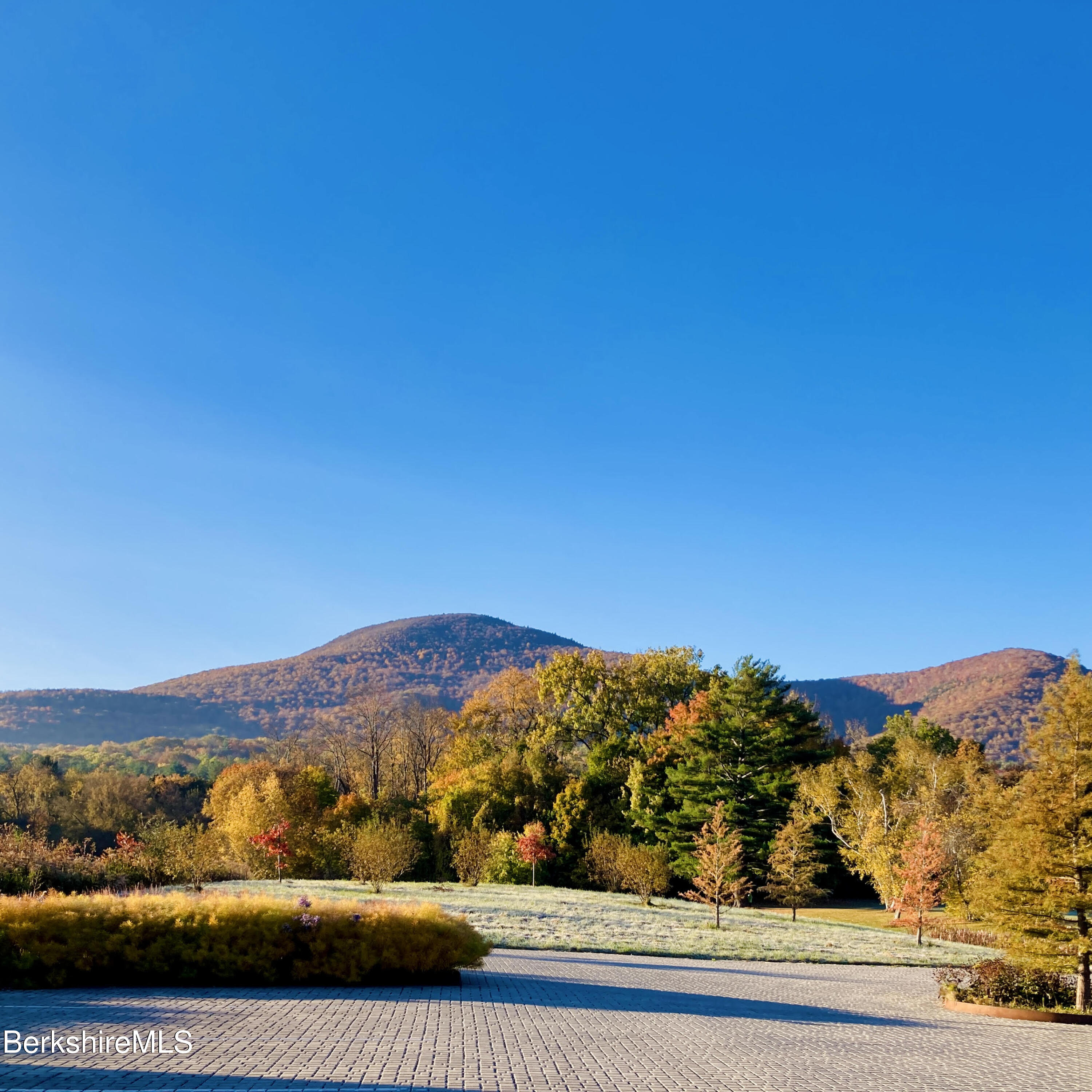 Mountain view beyond an autumn-colored clearing and paved area.
