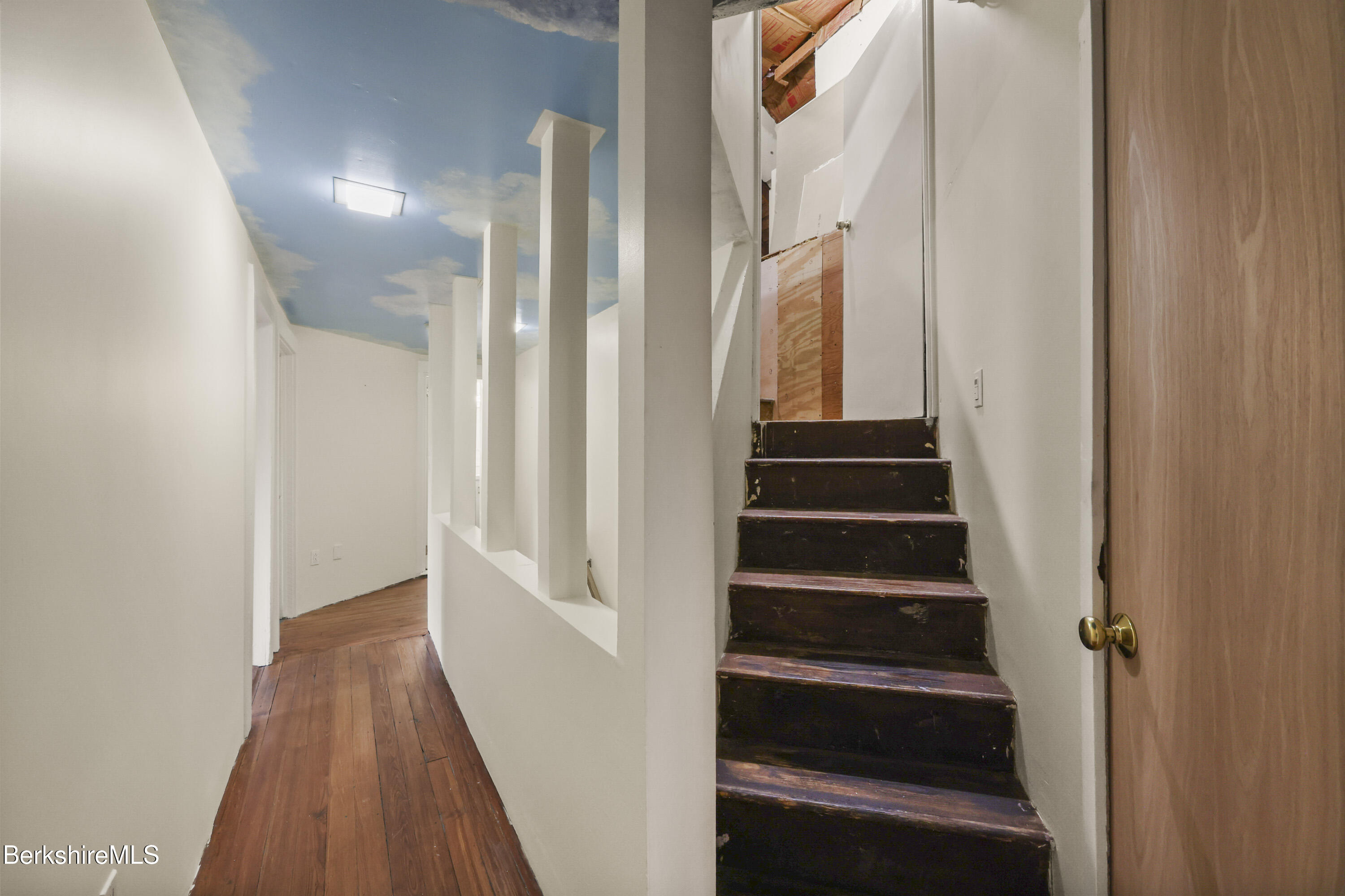 Hallway with a cloud-painted ceiling and dark wooden stairs leading to an unfinished area.