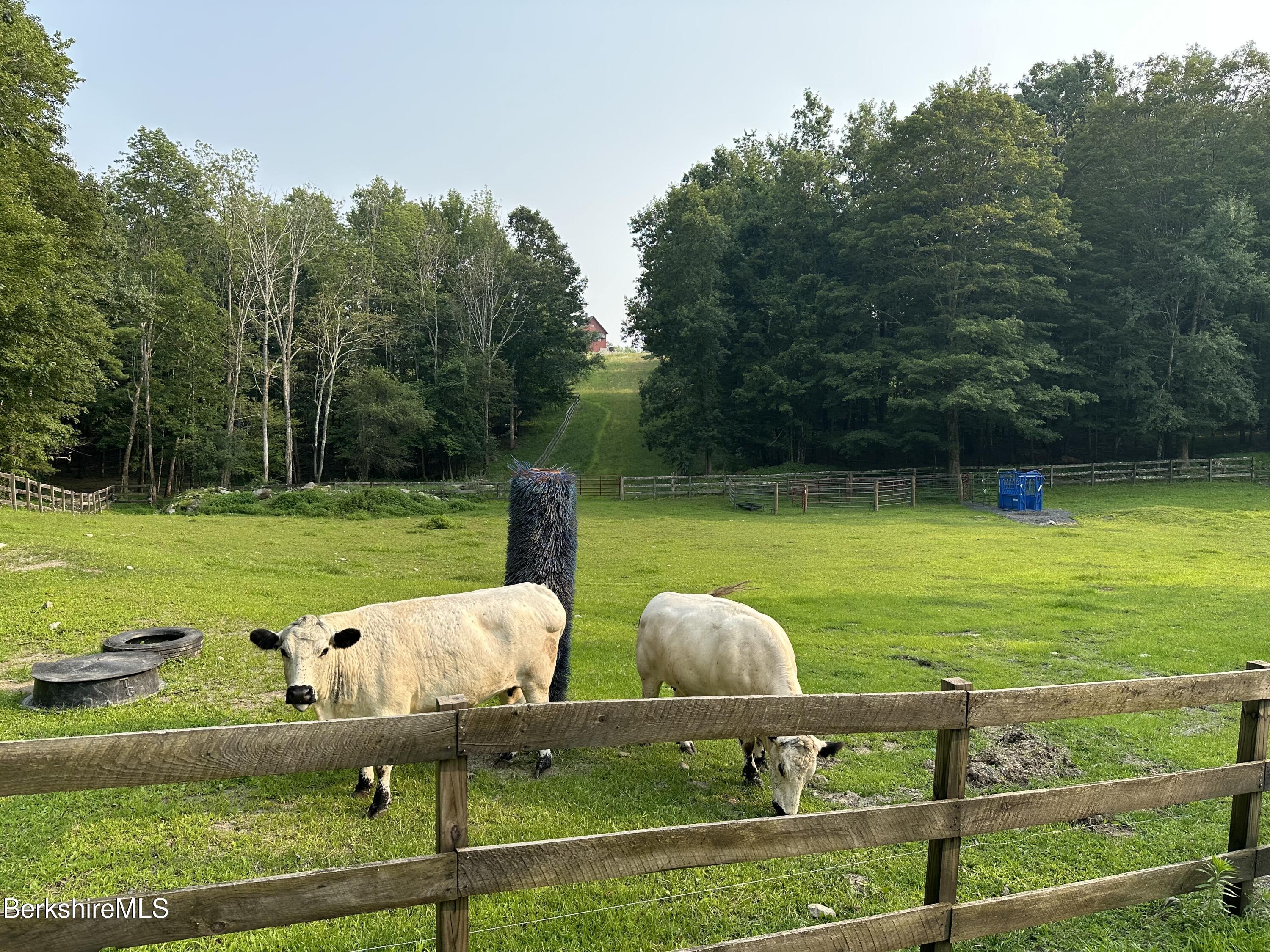 241 Cunningham Hill Rd