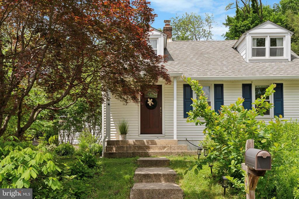 113 SPRING STREET