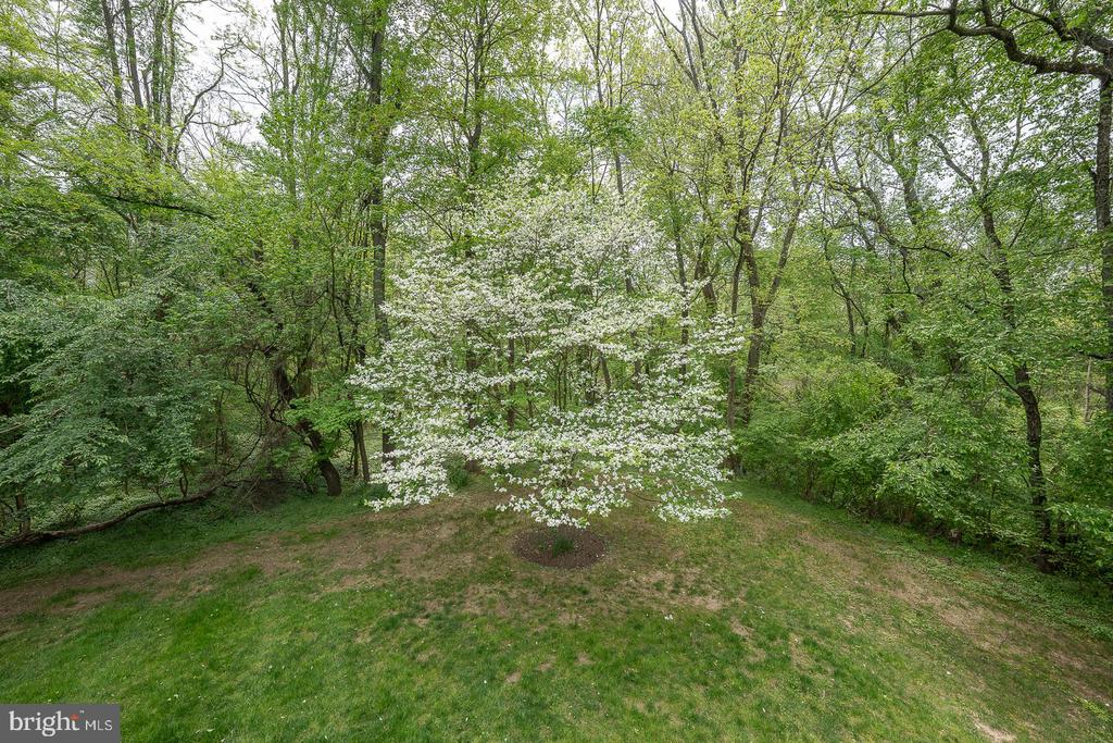 725 KINCAID MILLS LANE