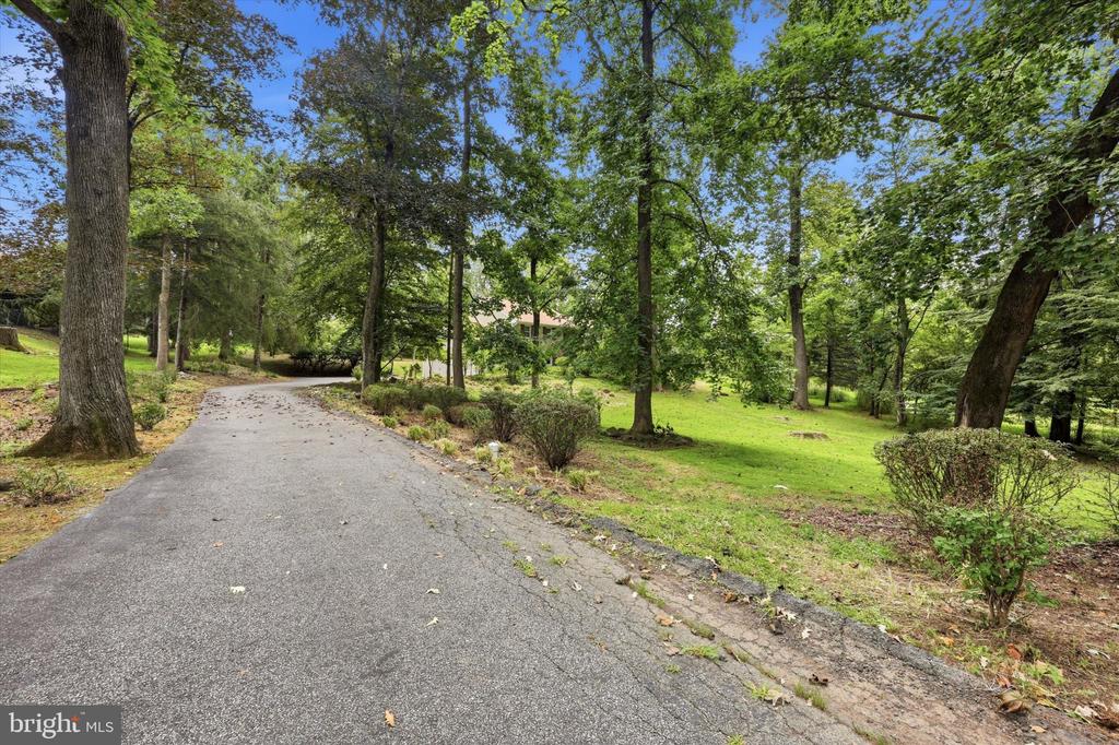 373 IVY LANE