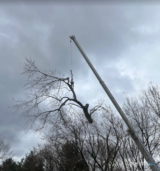 426 South Grand Street