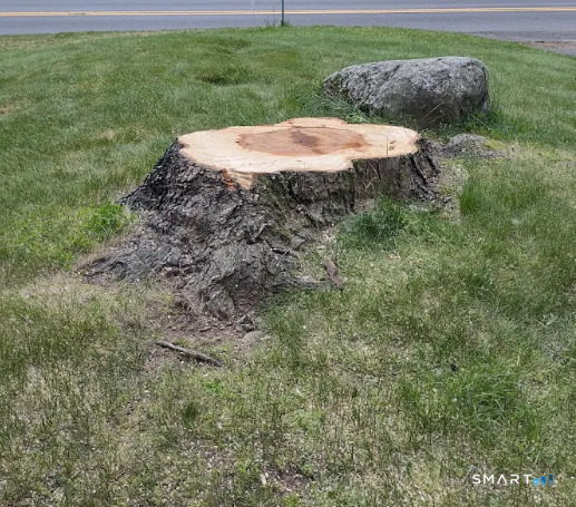 426 South Grand Street