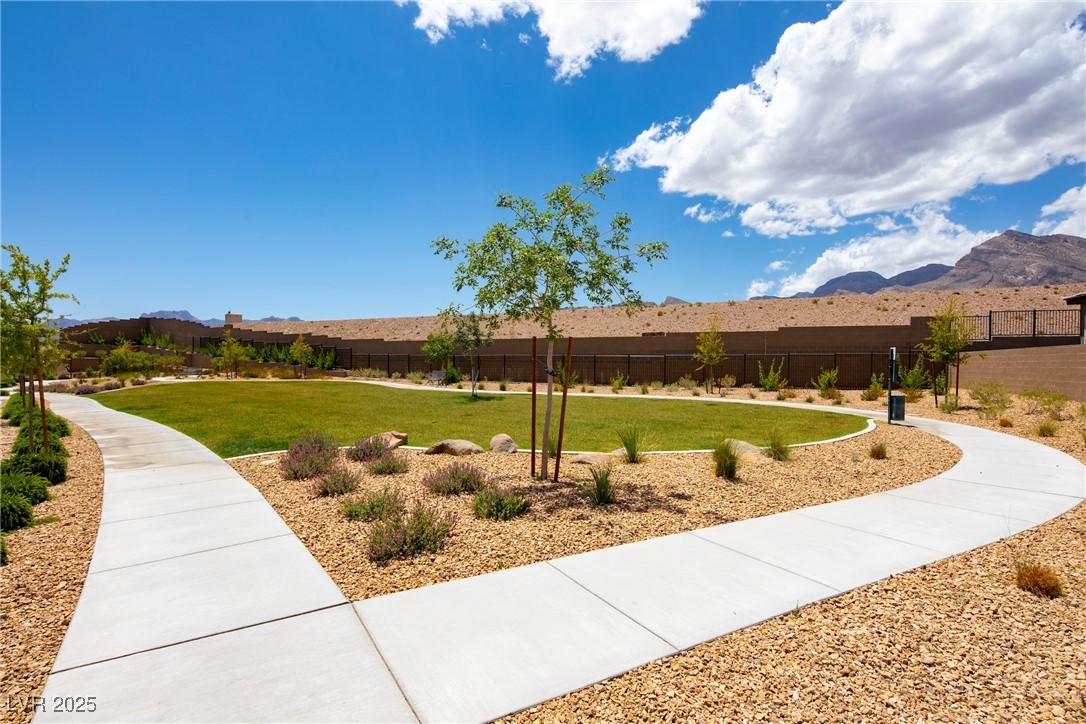 244 Native Stone Street