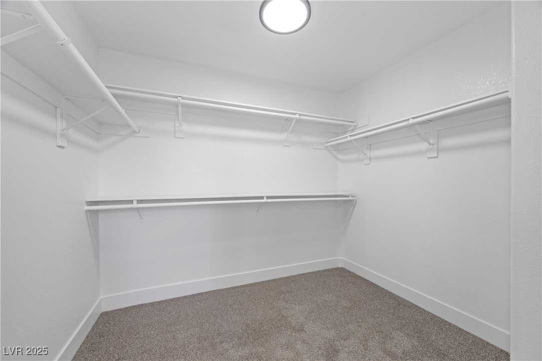 575 DUSTY PALMS Lane