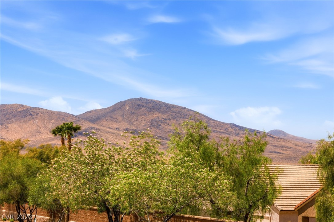 2502 Stardust Valley Drive