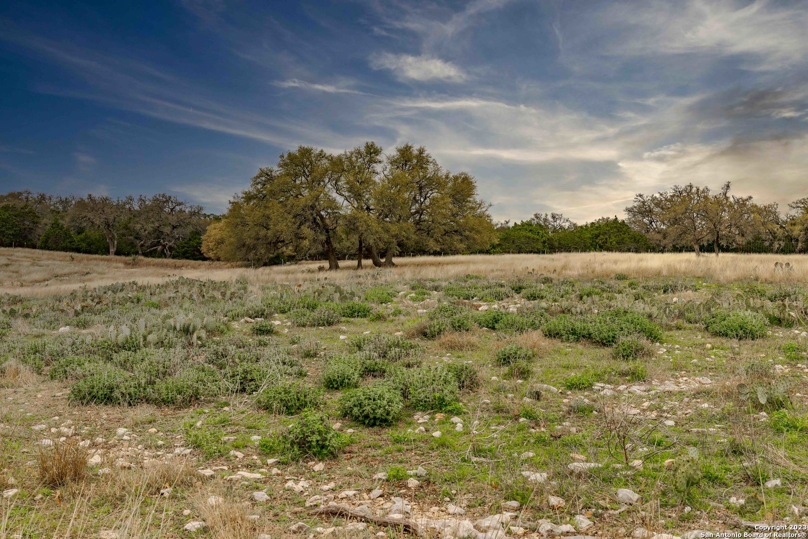 LOT 163 Loma Vista Ranch