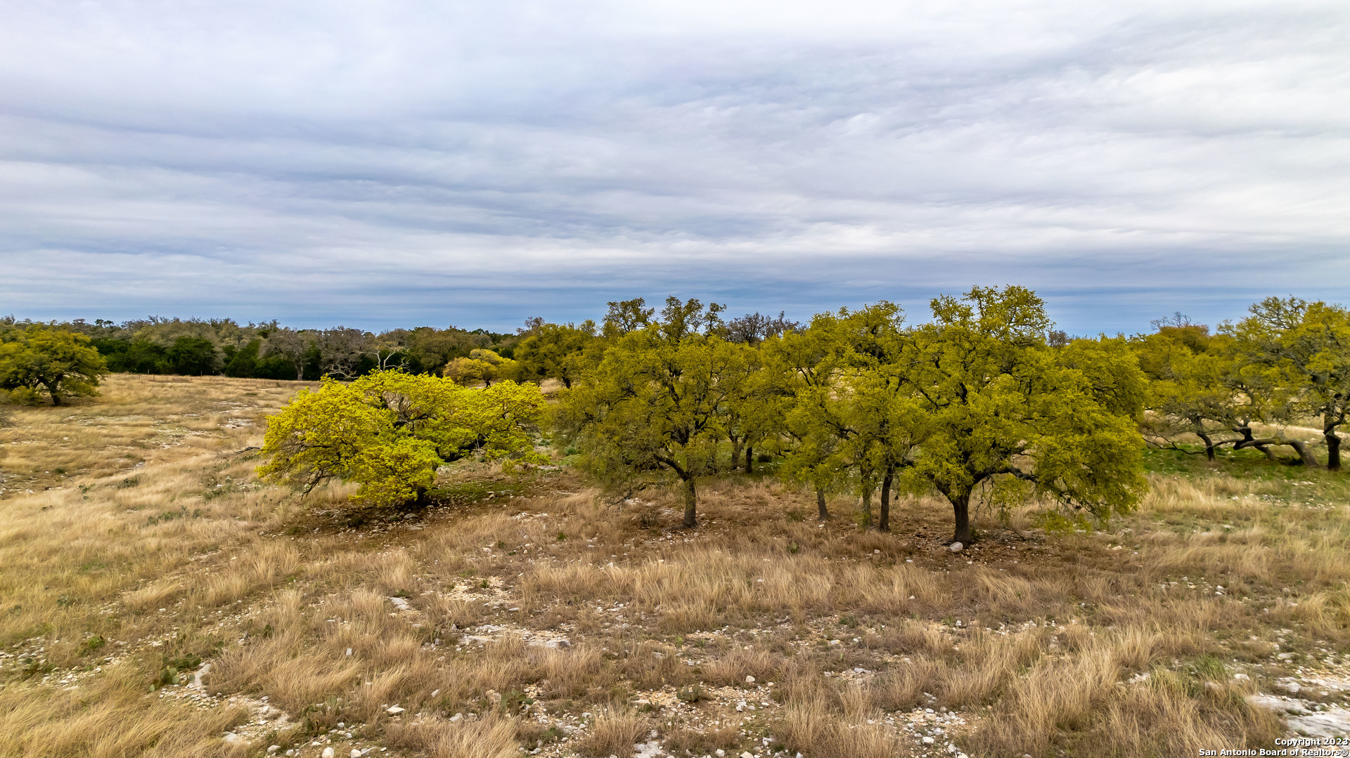 LOT 163 Loma Vista Ranch