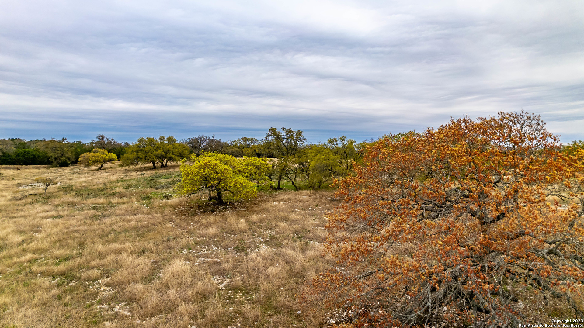 LOT 163 Loma Vista Ranch