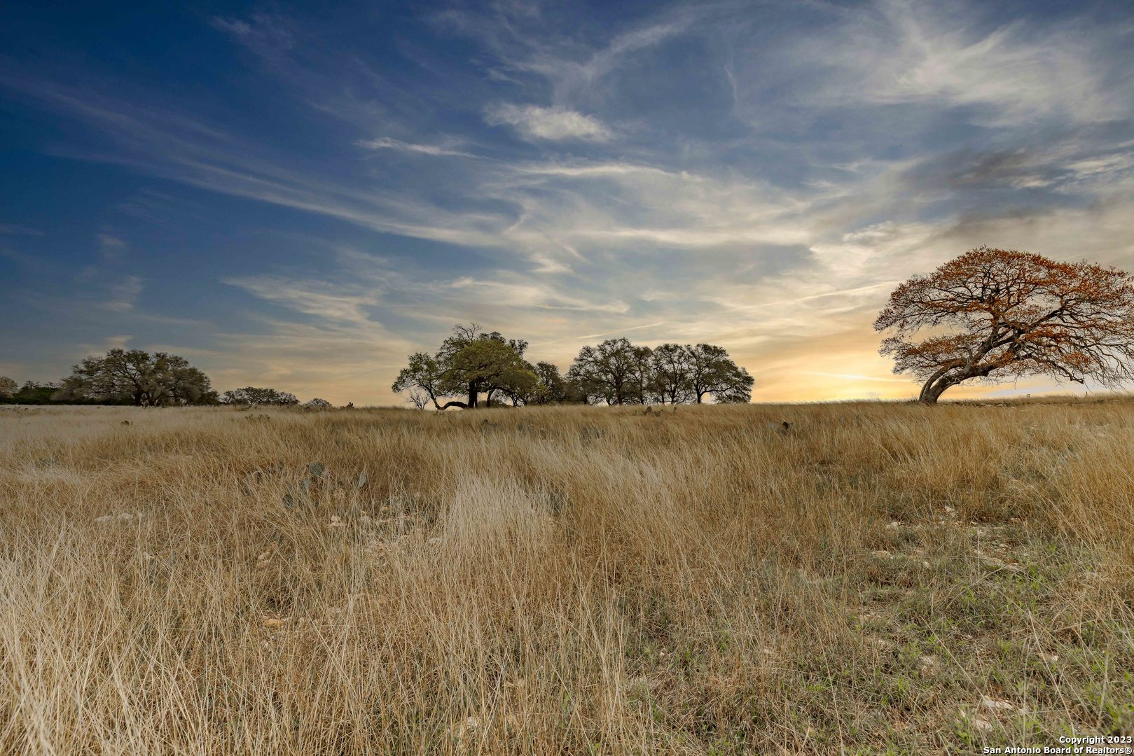 LOT 163 Loma Vista Ranch