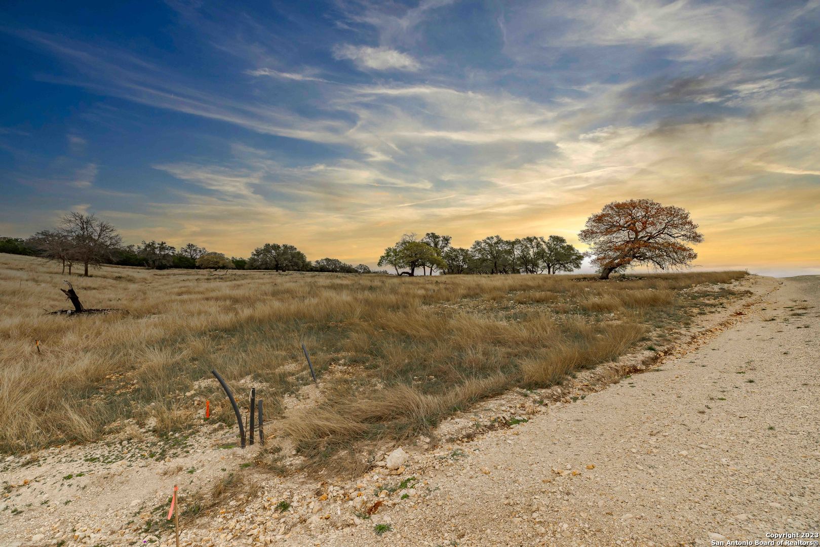 LOT 163 Loma Vista Ranch