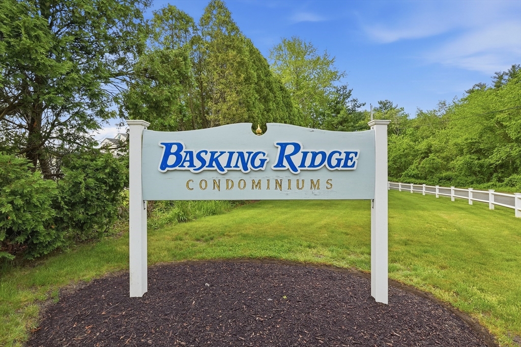 21 Basking Ridge # 21
