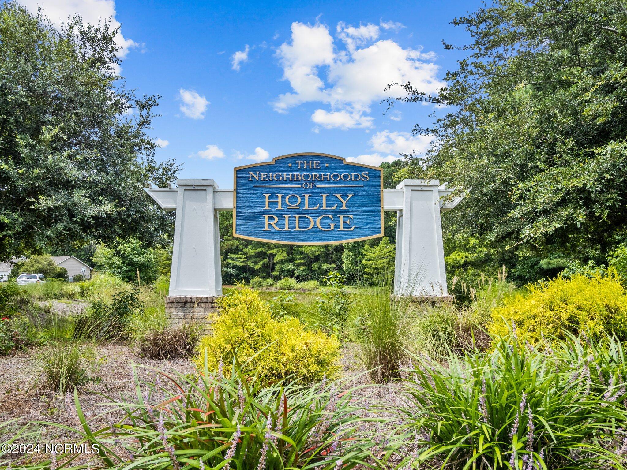 246 Red Carnation Drive