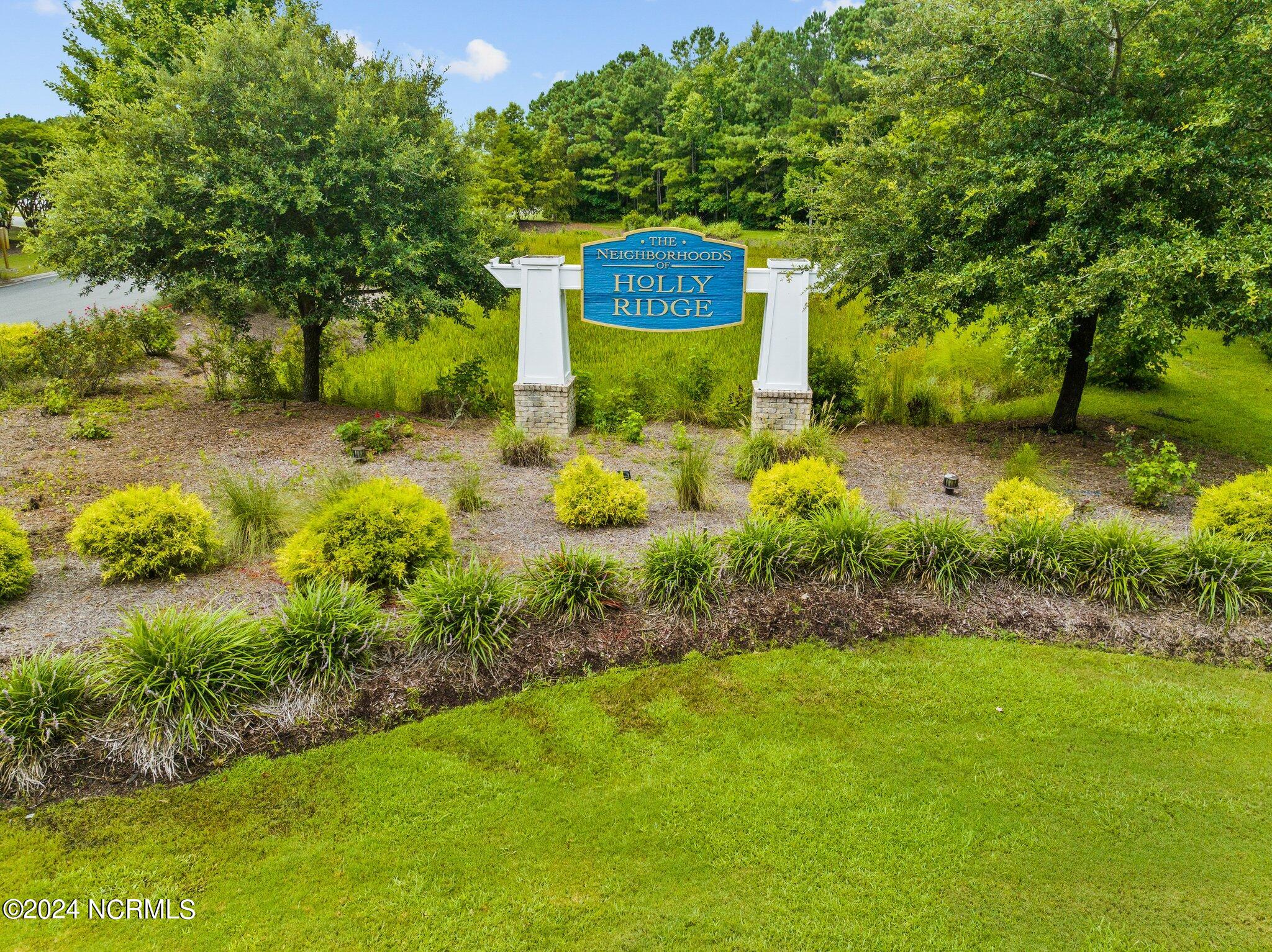 246 Red Carnation Drive