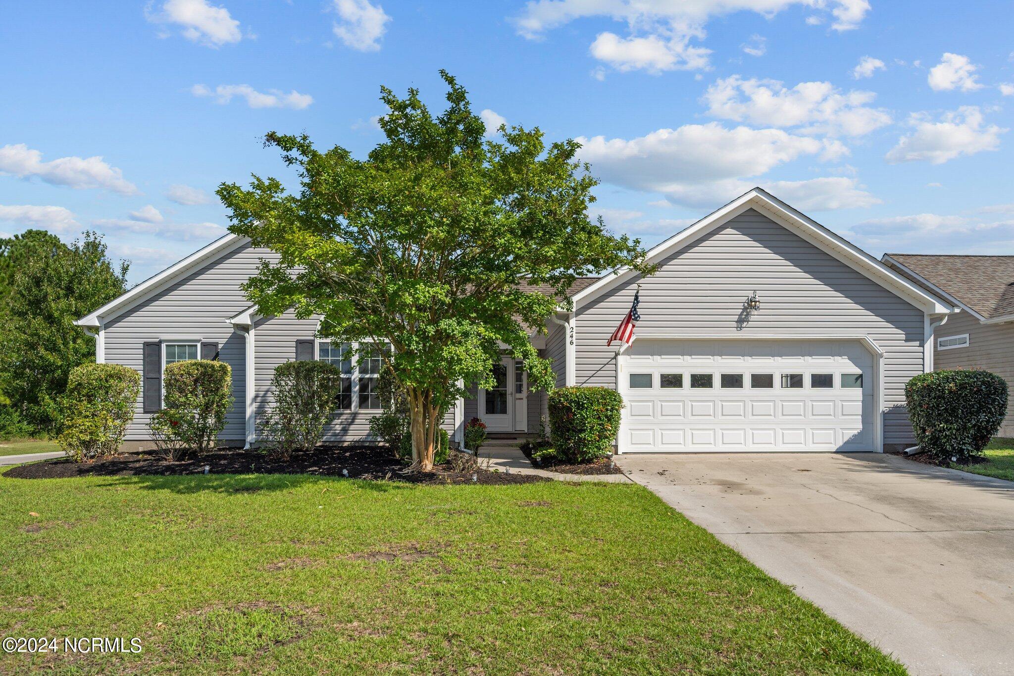 246 Red Carnation Drive