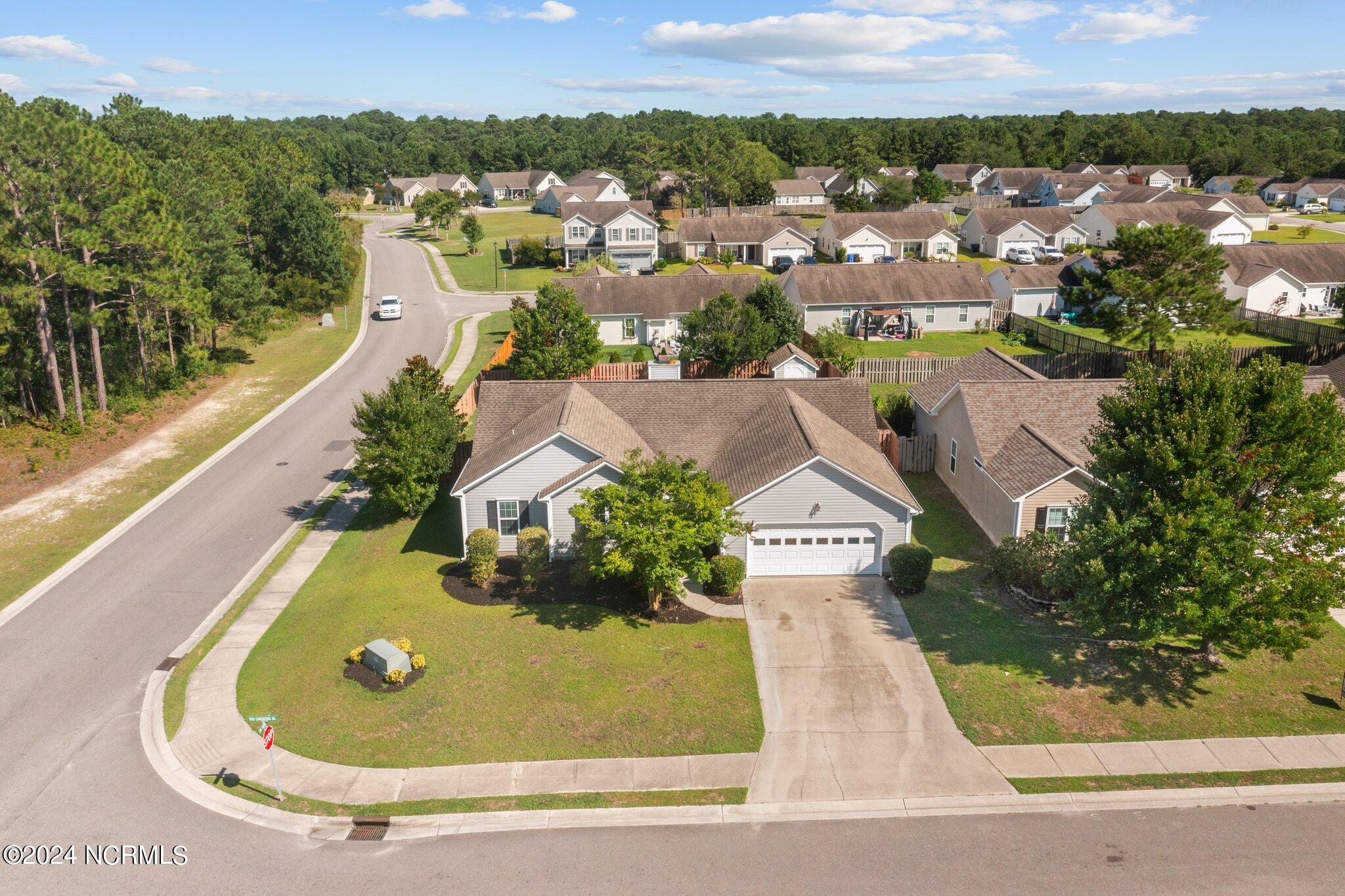 246 Red Carnation Drive