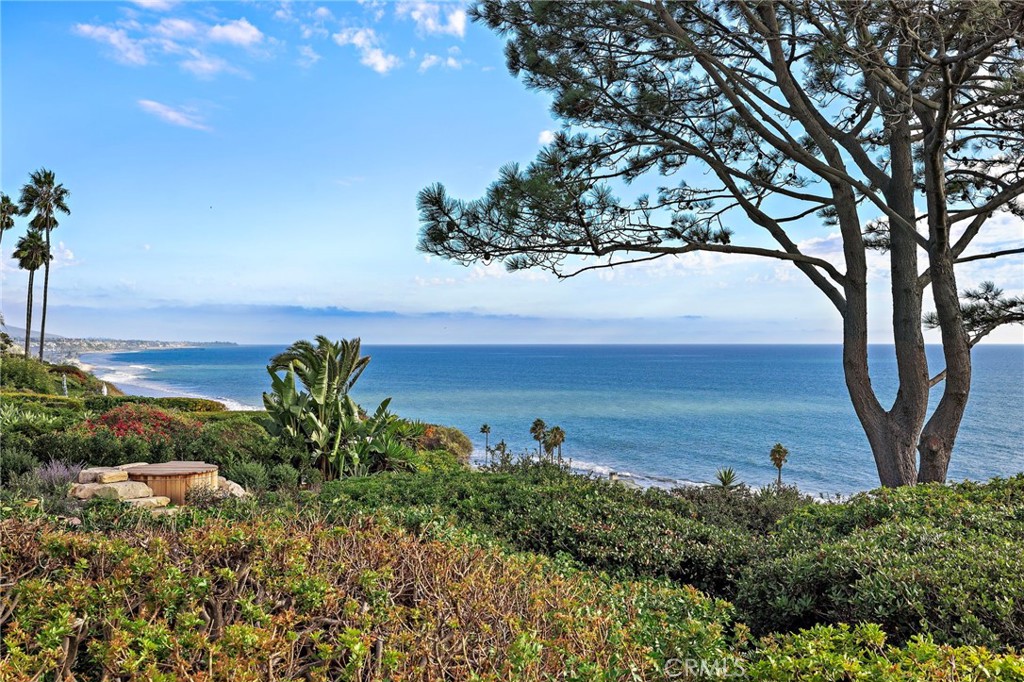 35031 Camino Capistrano