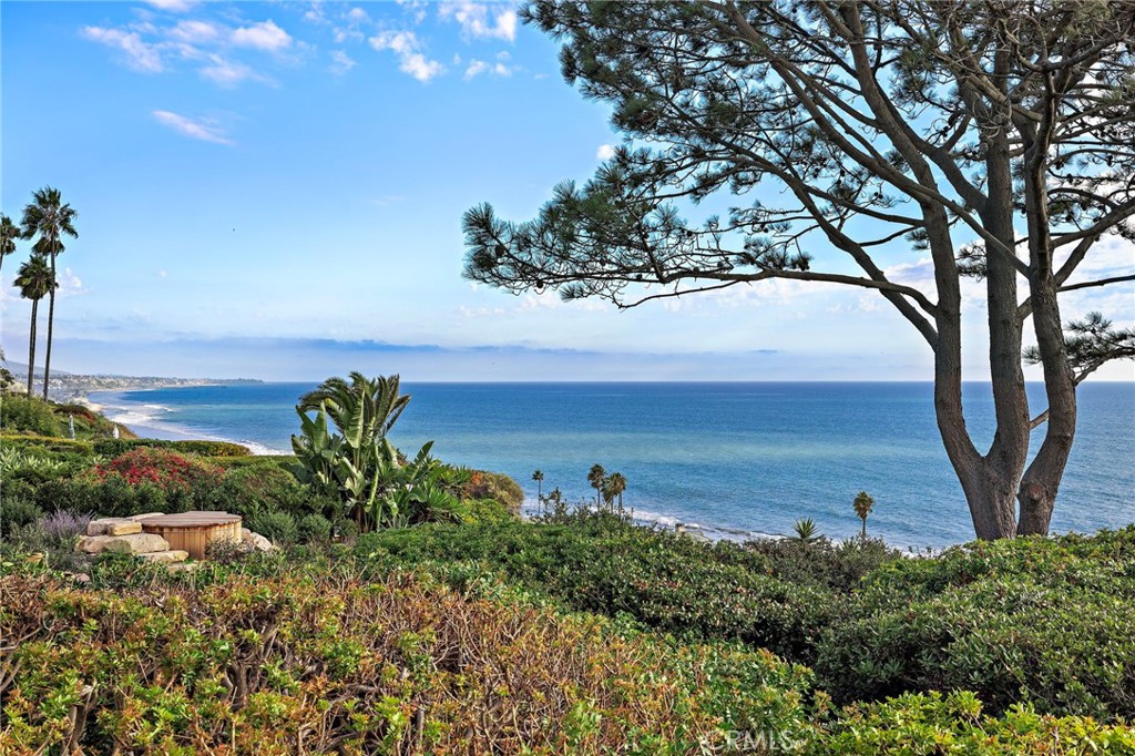 35031 Camino Capistrano